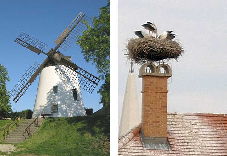 Un mulino a vento a Podersdorf - Un nido di cicogne a Mrbisch
