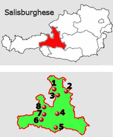 Carta stradale online del Salisburghese